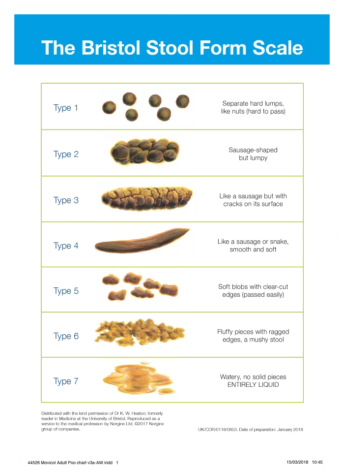 Bristol Stool Chart: The Different Types Of Poop GoodRx