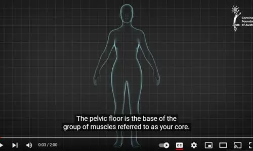 Female Pelvic Floor 3D Animation